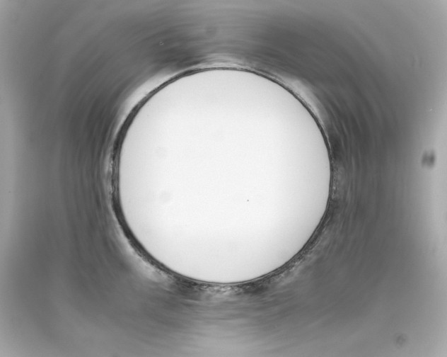 X0000090411003200708101915