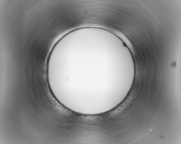 X0000090411004200708101915