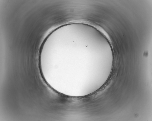 X0000090411005200708101915