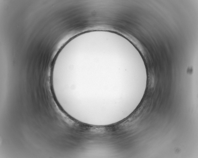 X0000090411006200708101915
