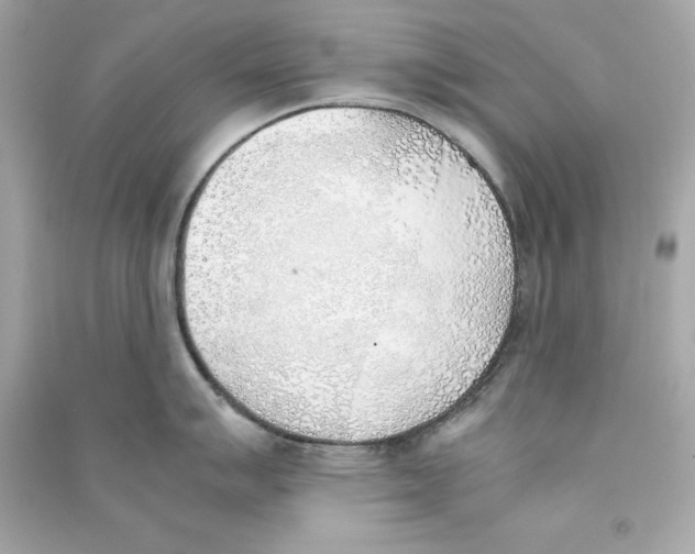 X0000090411007200708101915