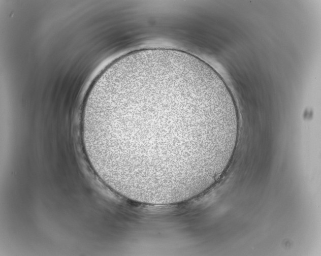X0000090411008200708101915