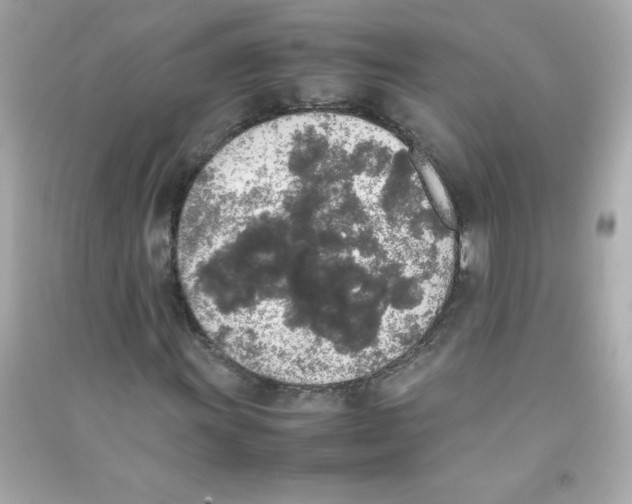 X0000090411011200708101914
