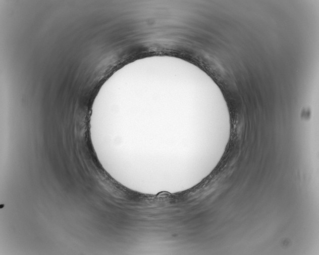 X0000090411012200708101914