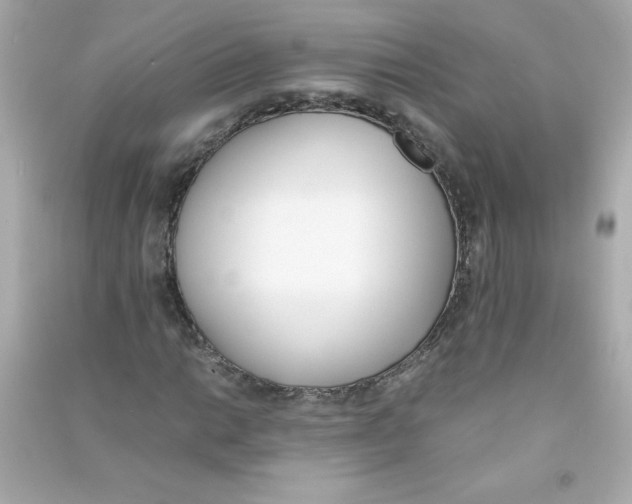 X0000090411014200708101914