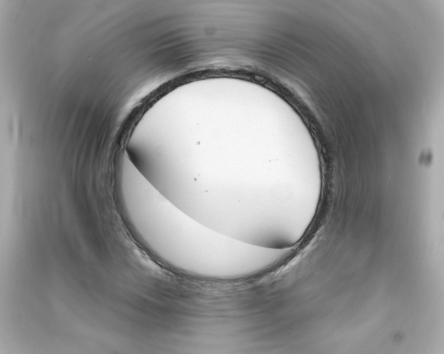 X0000090411018200708101915