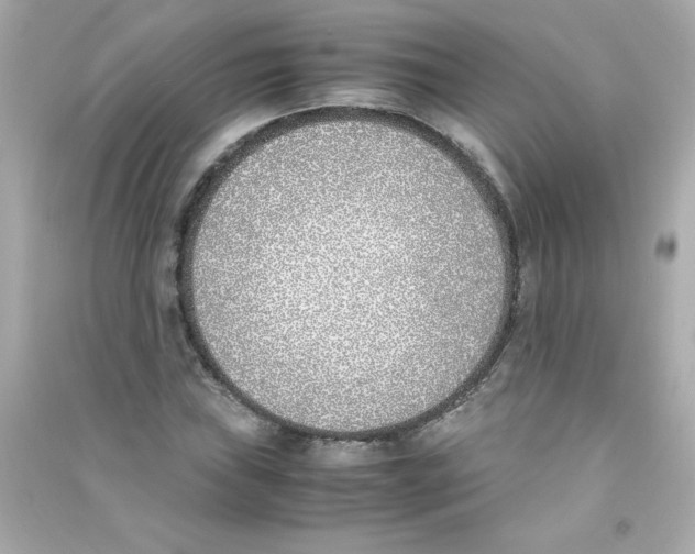 X0000090411019200708101915
