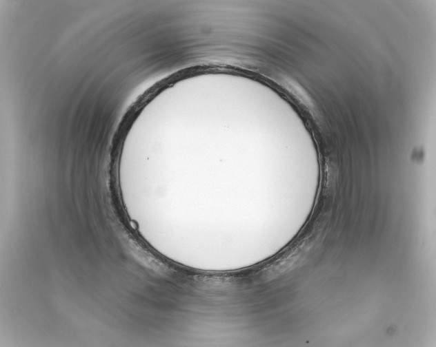 X0000090411020200708101915