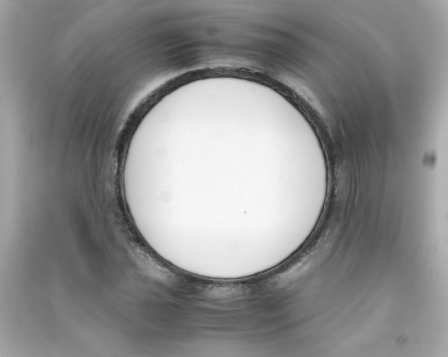 X0000090411021200708101915