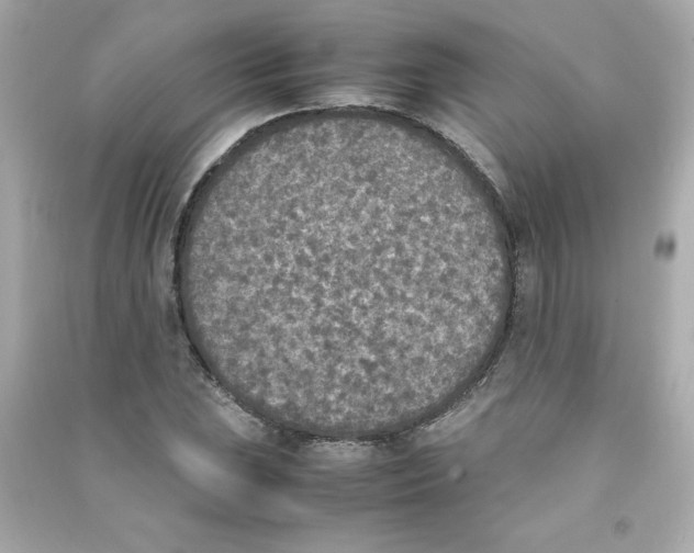 X0000090411023200708101915
