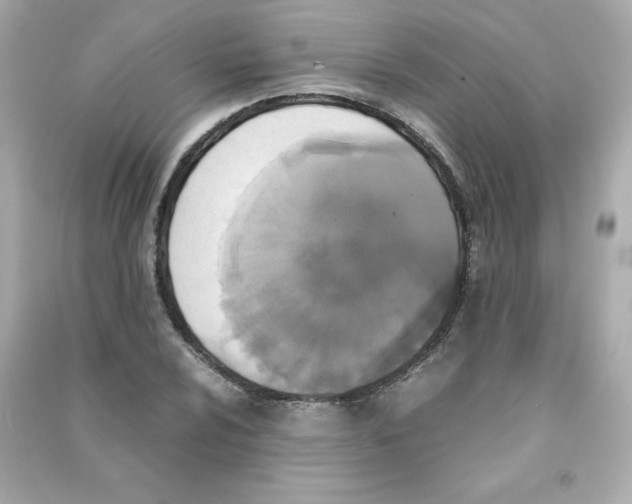 X0000090411024200708101915