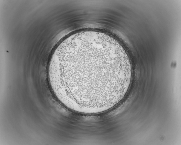 X0000090411025200708101915