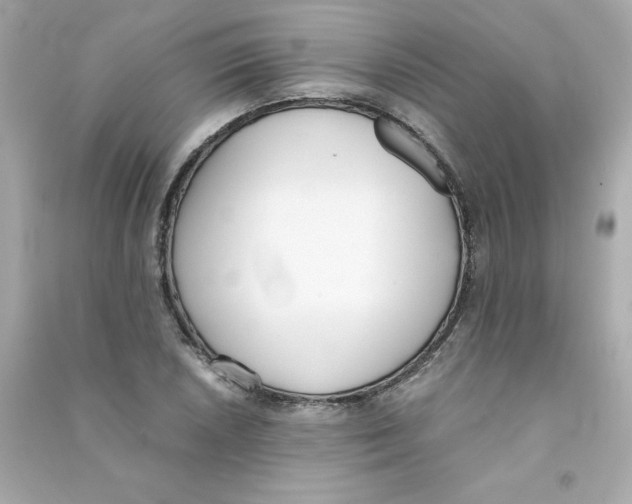 X0000090411026200708101915