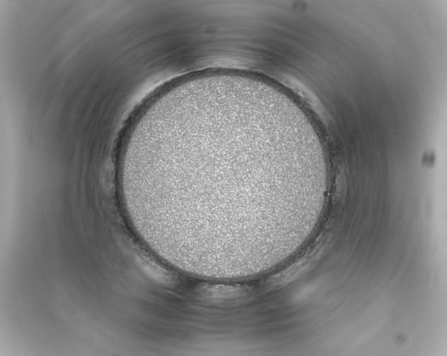 X0000090411027200708101915