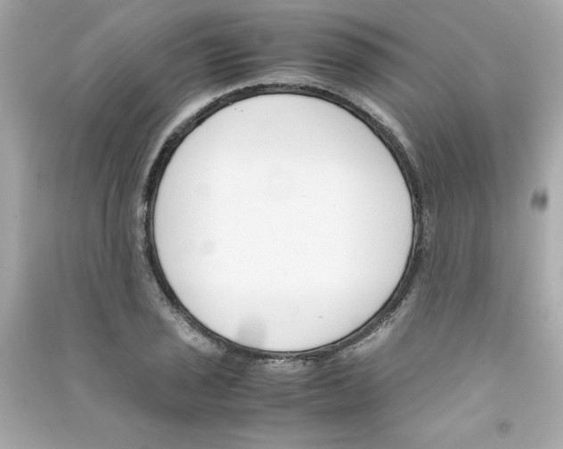 X0000090411029200708101915