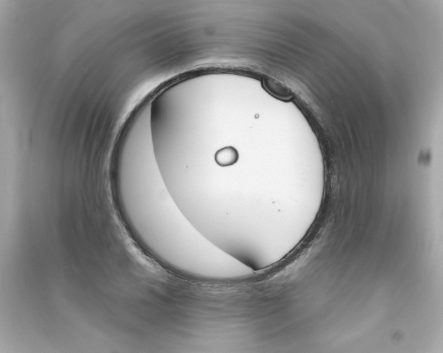 X0000090411030200708101915