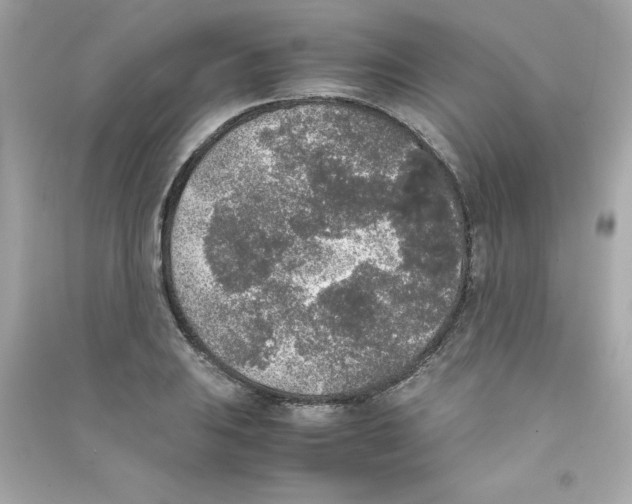 X0000090411031200708101915