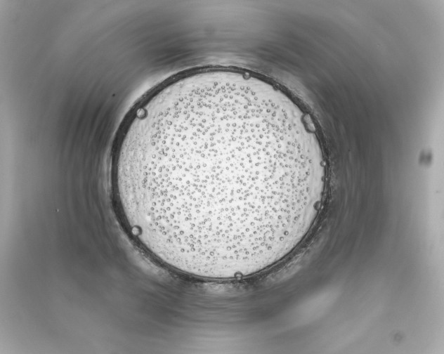 X0000090411032200708101915
