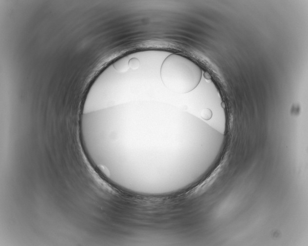 X0000090411033200708101915