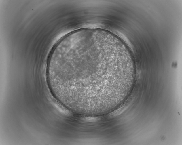 X0000090411035200708101915