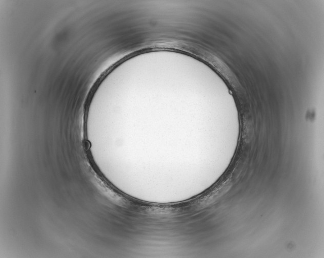 X0000090411036200708101915