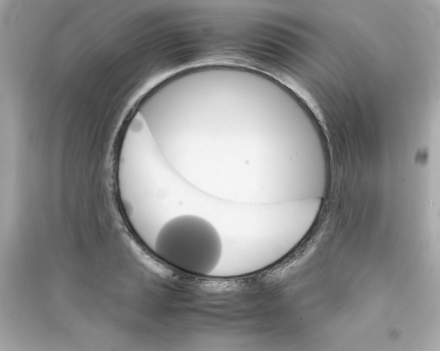 X0000090411037200708101915