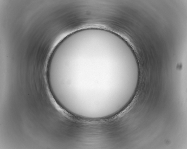 X0000090411038200708101915
