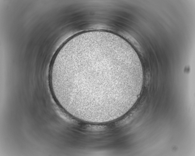 X0000090411039200708101915