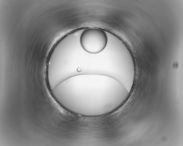 X0000090411040200708101915