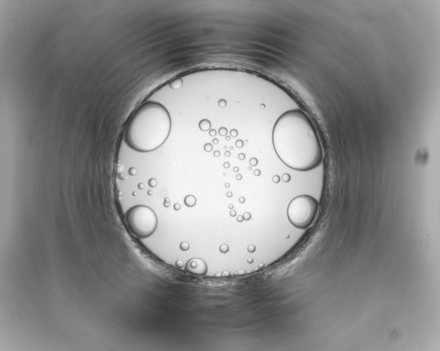 X0000090411041200708101915