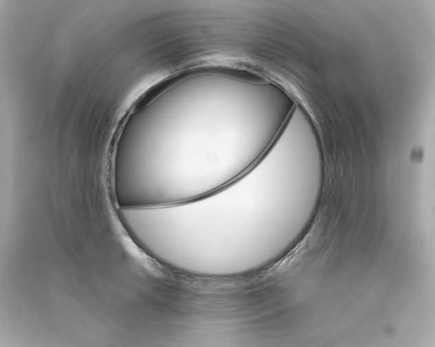 X0000090411042200708101915