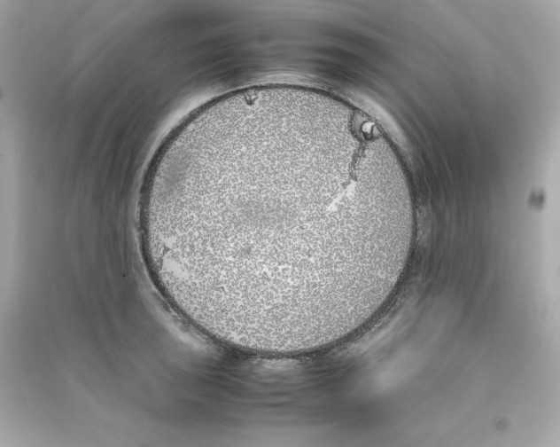 X0000090411043200708101915