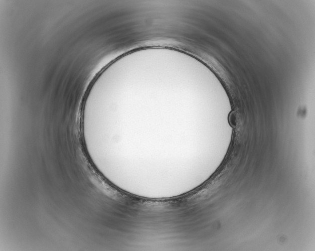 X0000090411044200708101915