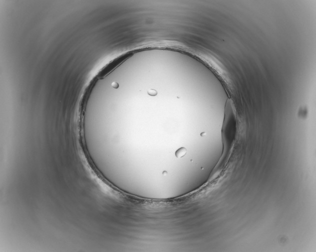 X0000090411046200708101915