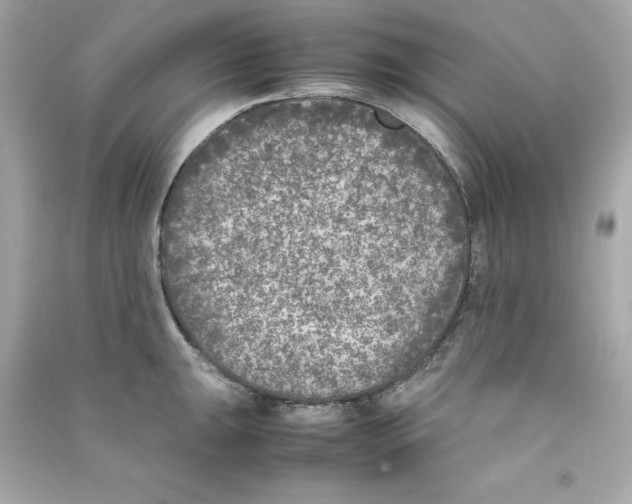 X0000090411047200708101915