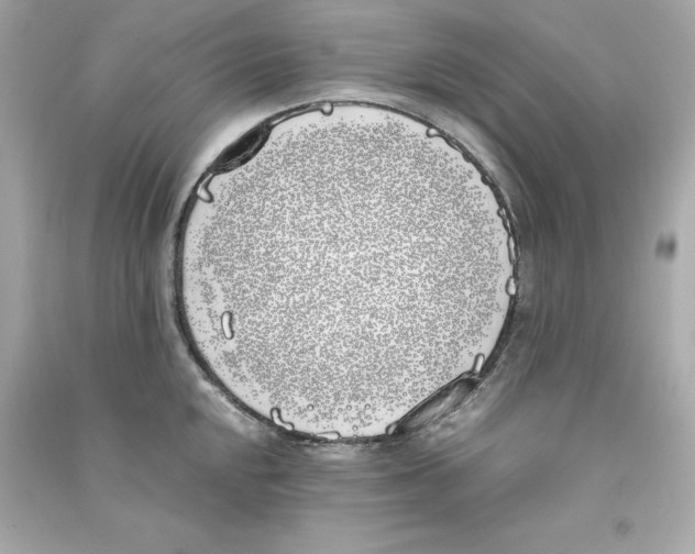 X0000090411048200708101915