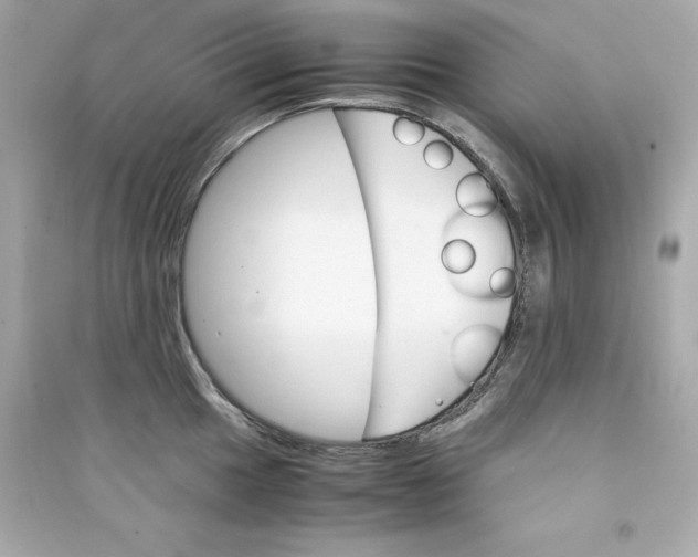 X0000090411049200708101915