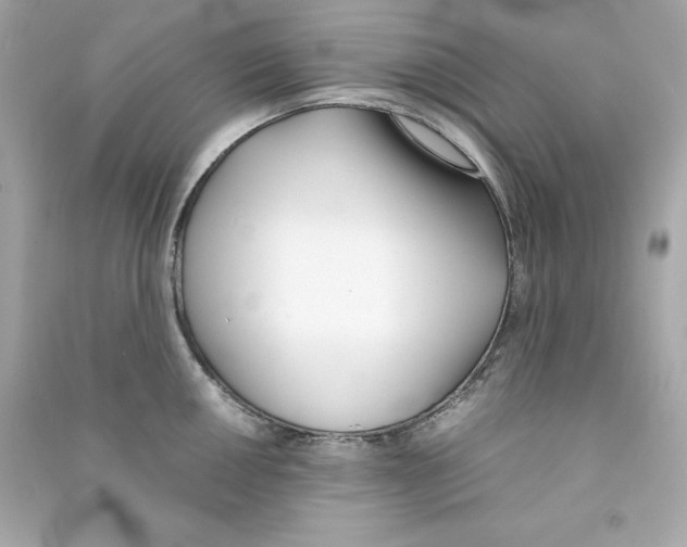 X0000090411050200708101915