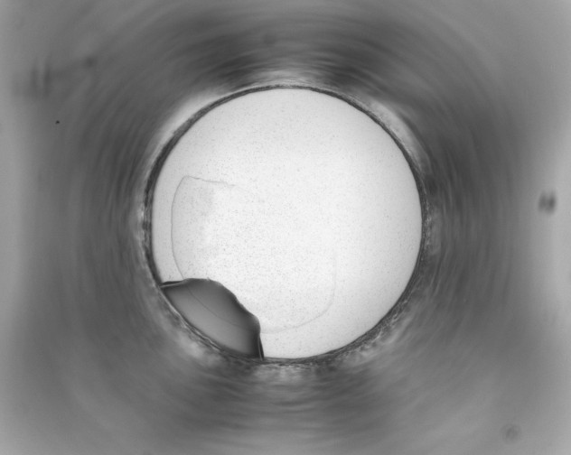 X0000090411051200708101915