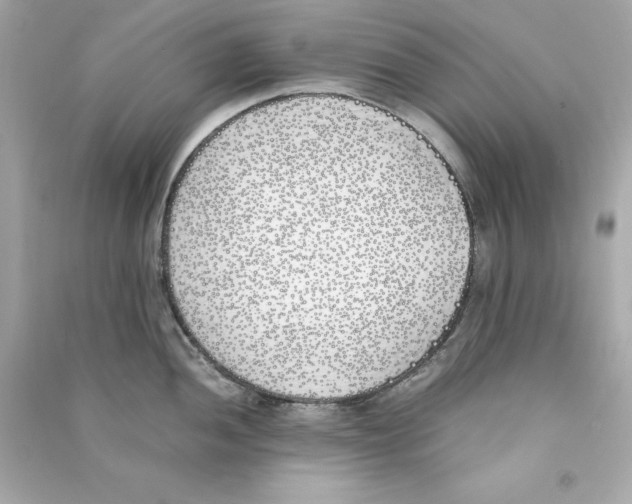 X0000090411052200708101915
