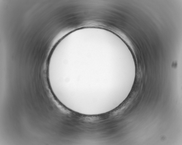 X0000090411053200708101915