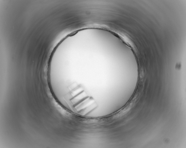 X0000090411054200708101915