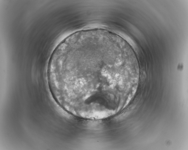 X0000090411055200708101915