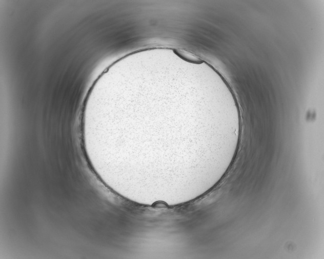 X0000090411056200708101915