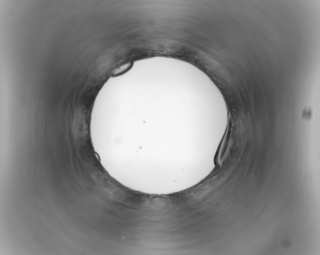 X0000090411058200708101914
