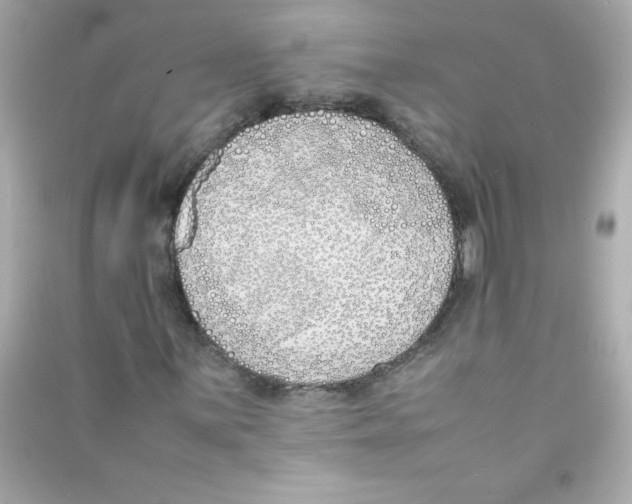 X0000090411059200708101914