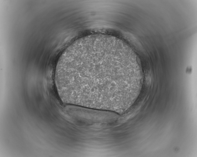 X0000090411060200708101914