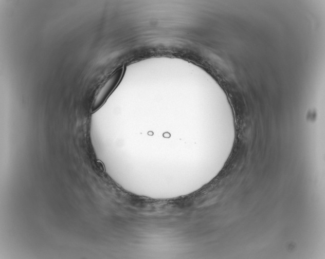 X0000090411061200708101914