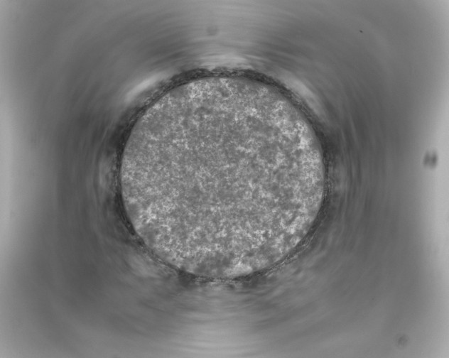 X0000090411063200708101914