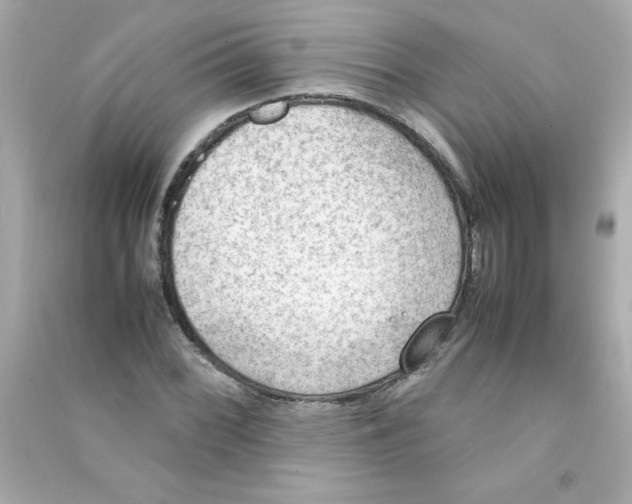 X0000090411068200708101914